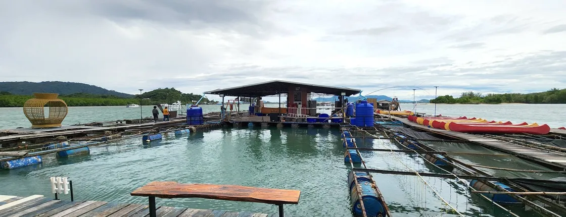 Phuket fisheries tour with kayaking