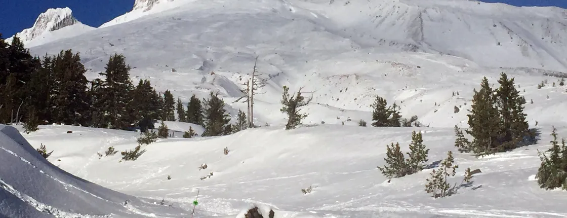The Hood-Columbia Loop: Timberline, Orchards, and Waterfalls tour from Portland