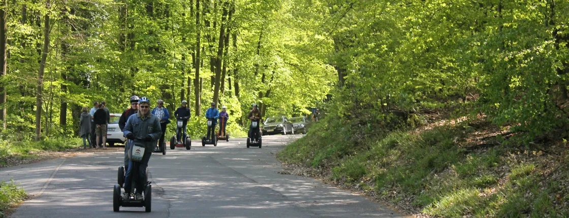 Heidelberg and Neckar Valley Segway tour