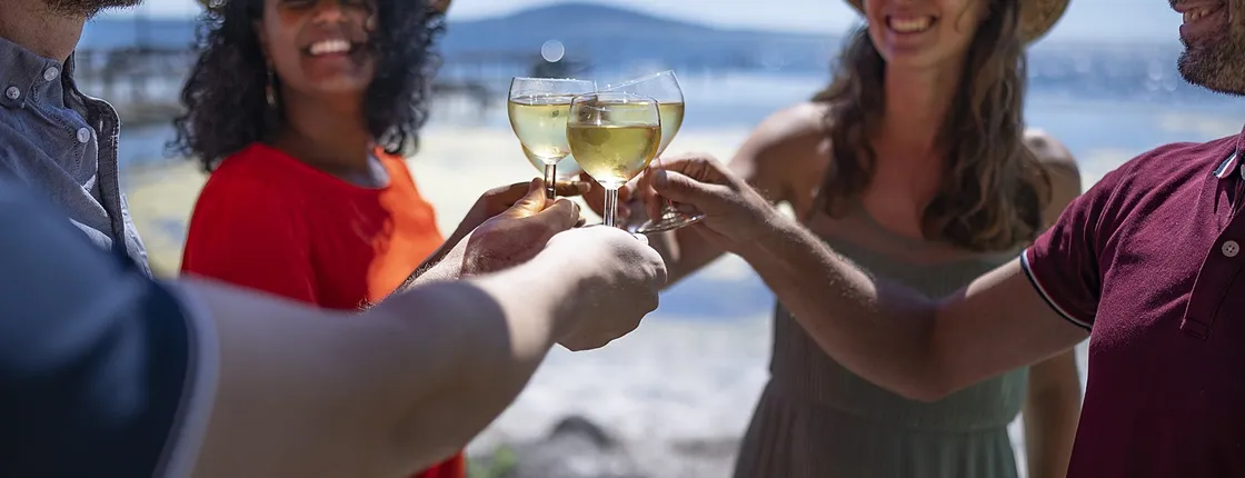 Oyster and wine tasting tour for small groups starting from Montpellier