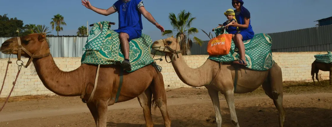 Sunset Camel Ride in Agadir With Transport, Tea, and Local Cakes