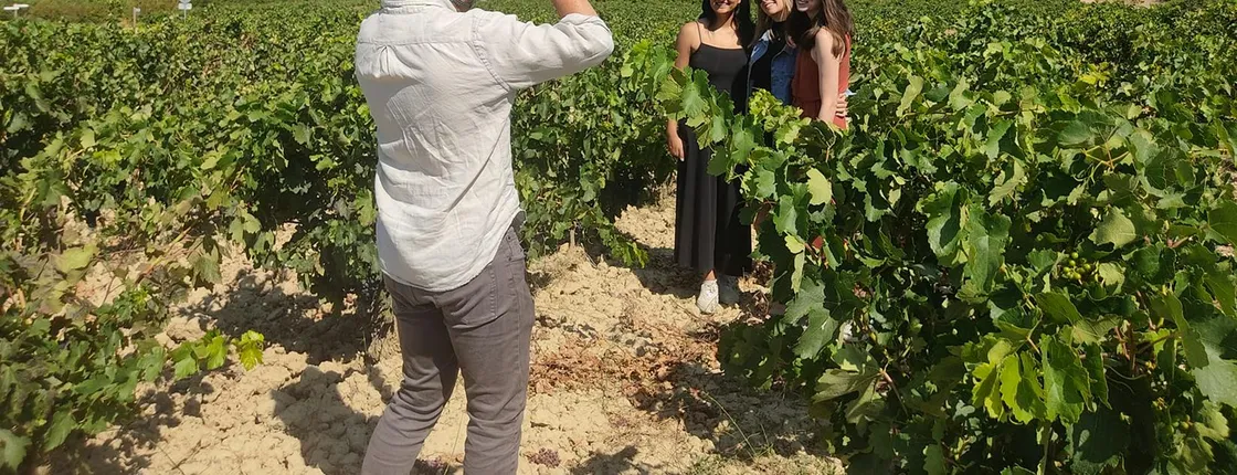 Full-day La Rioja wine tour and visit to Laguardia from Vitoria