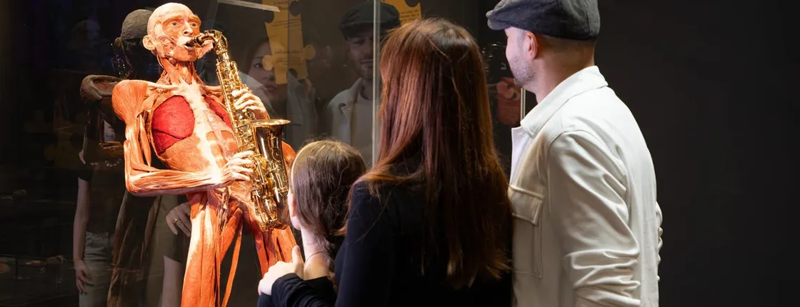 Body Worlds of Amsterdam: The Happiness Project ticket