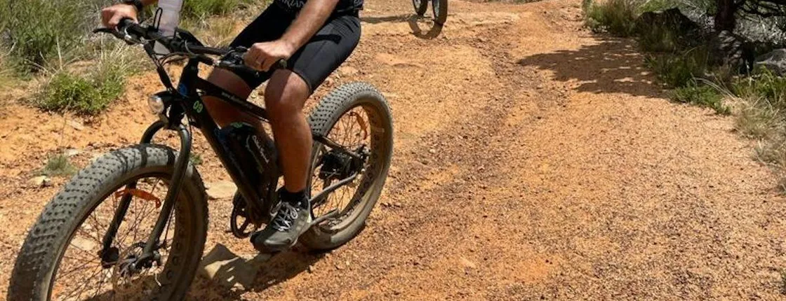 E-Bike Cape Peninsula tour from Cape Town