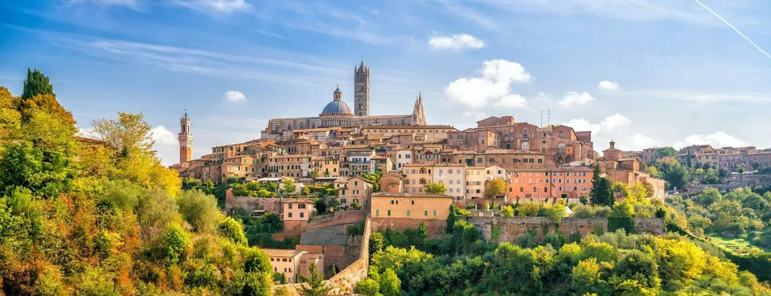 Siena private walking tour with a local