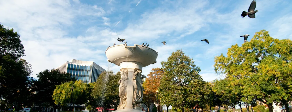 Dupont Circle and Embassy Row tour