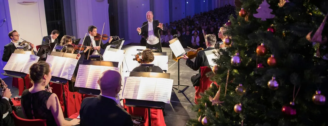 Schönbrunn Christmas market, palace audio-guided tour and concert