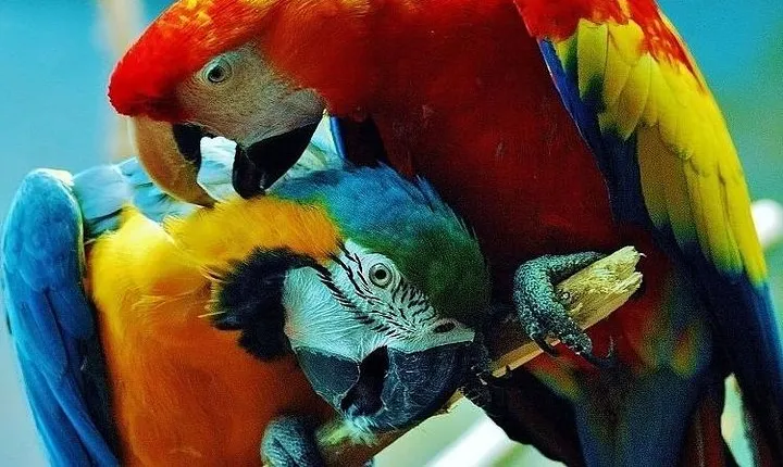 10 Days: Costa Rica Pure Nature