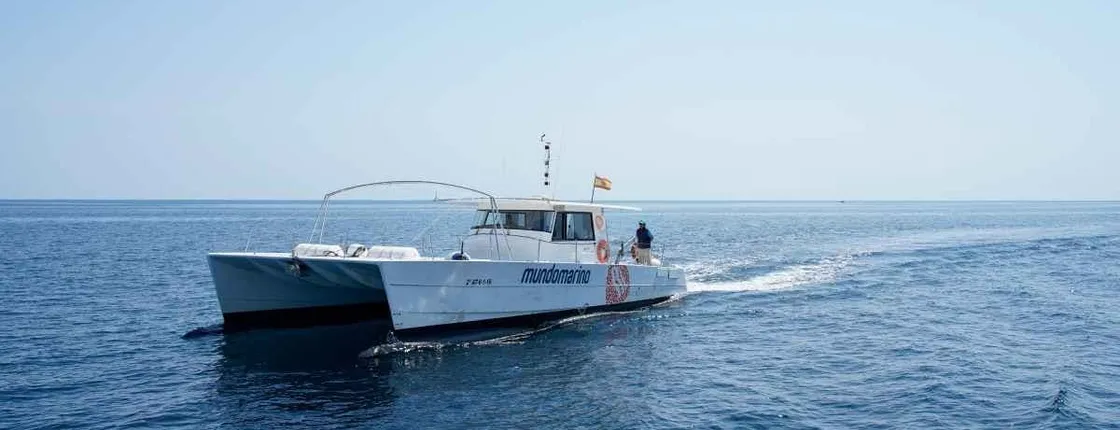 1-hour catamaran tour in Calpe
