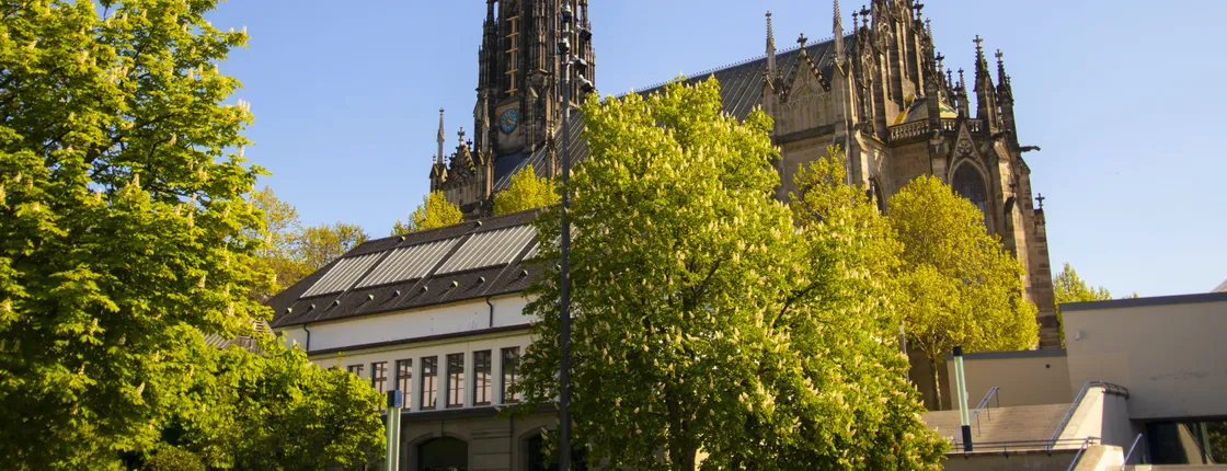Exclusive private guided tour through the history of Basel with a local