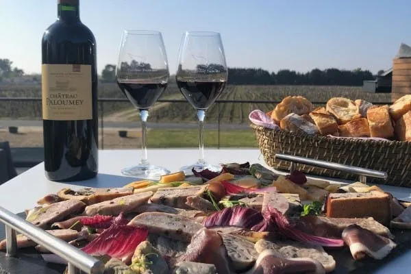 Terroir tour with four wines tasting at Château Paloumey