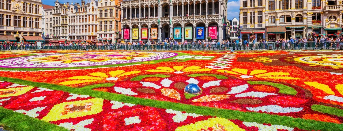 Central Brussels sightseeing tour with audio guide