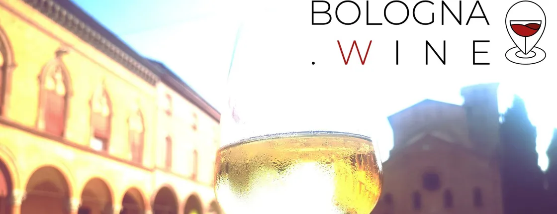 Bologna two-hour wine walking tour