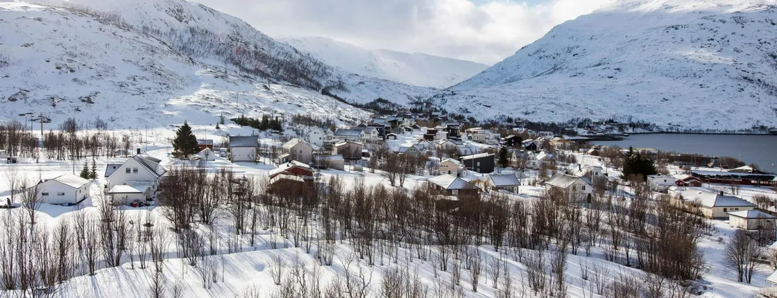 Express fjord road trip