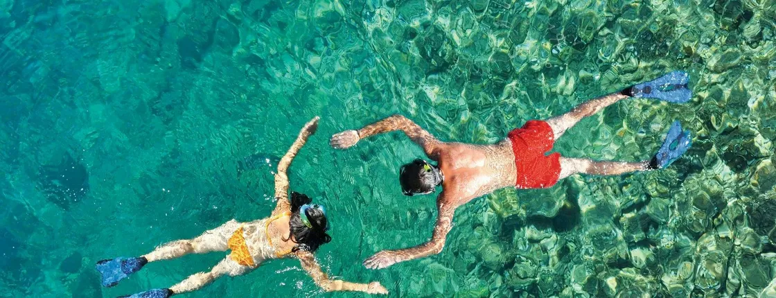 Guided offshore snorkeling excursion with Scuba Plus