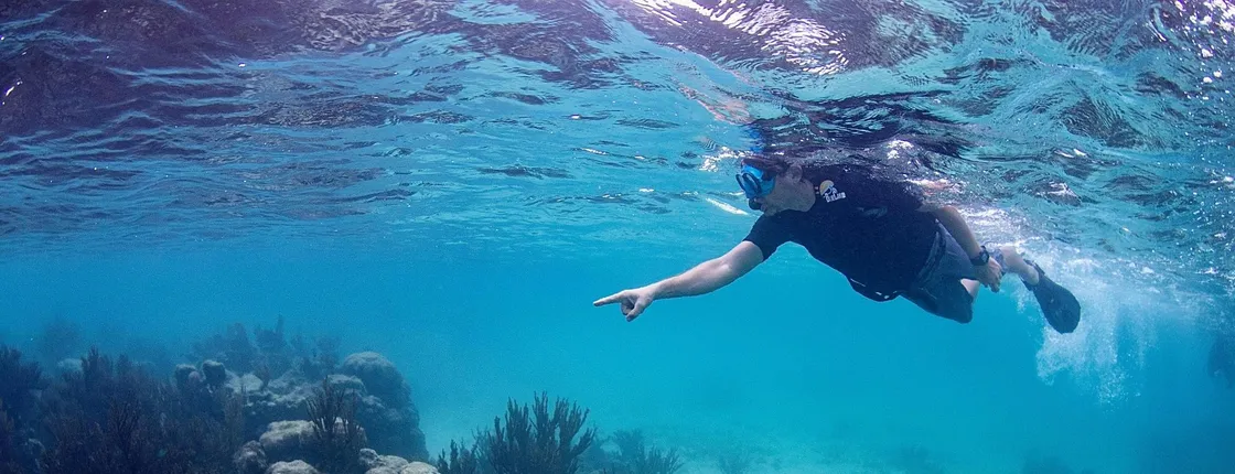 Riviera Maya coral reef snorkel and cenote cave swim