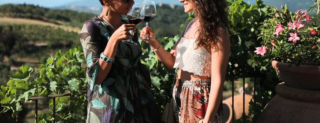 Chianti wine tour with two organic wineries and tastings