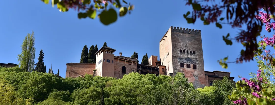 Alhambra guided tour and Granada city pass with all entrances