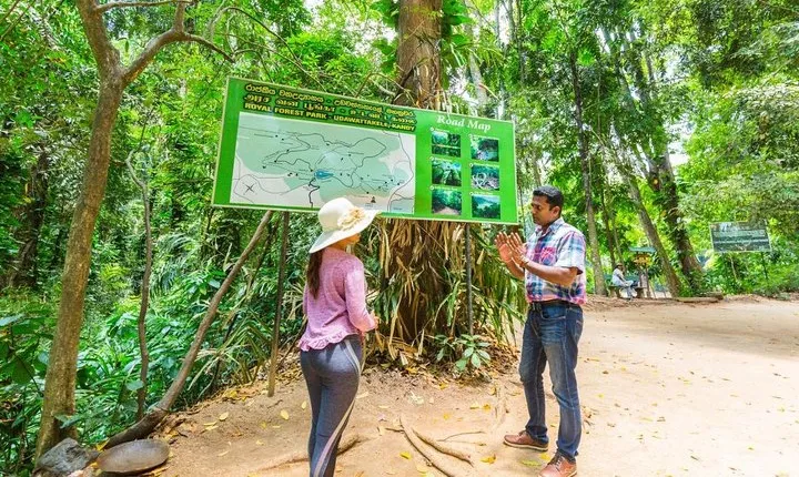 Udawatte Kele Santuary with Nature Walk from Kandy