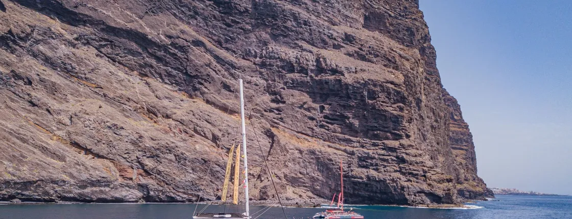 Exclusive freebird catamaran whale and dolphin cruise to Masca