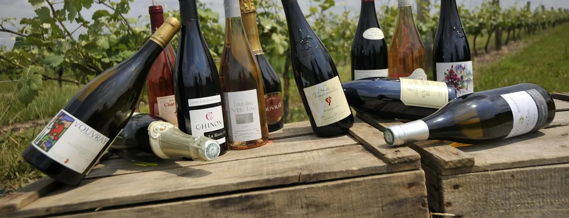 Loire Valley wine tour with tastings in Chinon and Bourgueil vineyards
