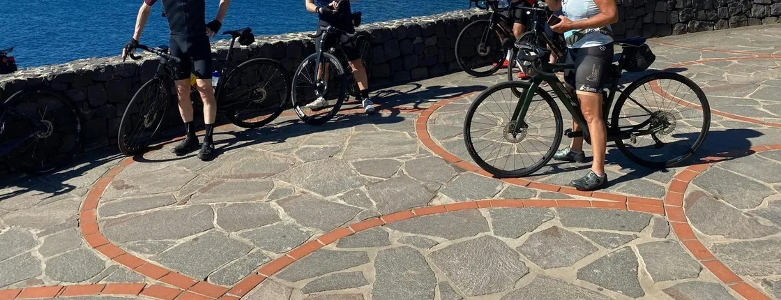 Guided e-bike tour to El Medano