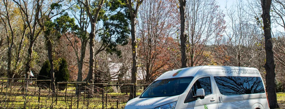 Guided Mount Tamborine wine tour from Gold Coast with lunch