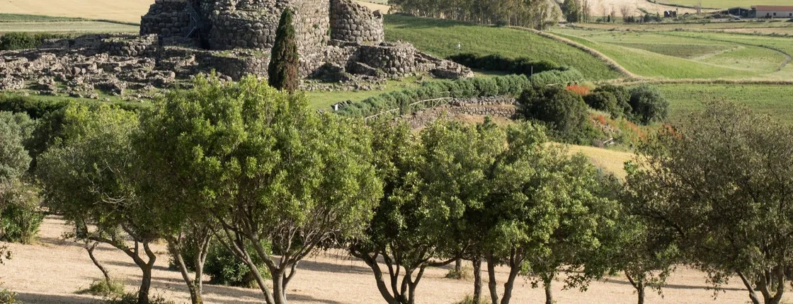 Tour of Barumini UNESCO site and Giara di Gesturi plateau
