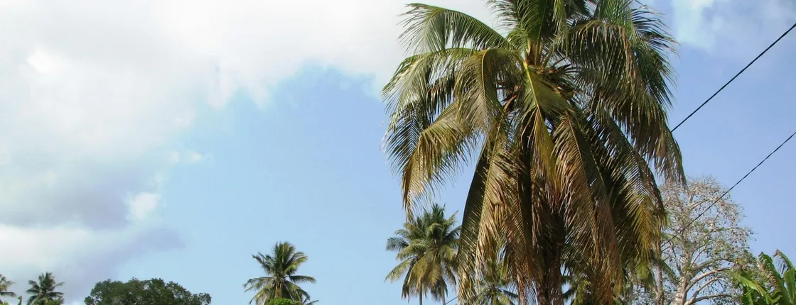 Zanzibar Uzi Island, cave and village adventure private tour