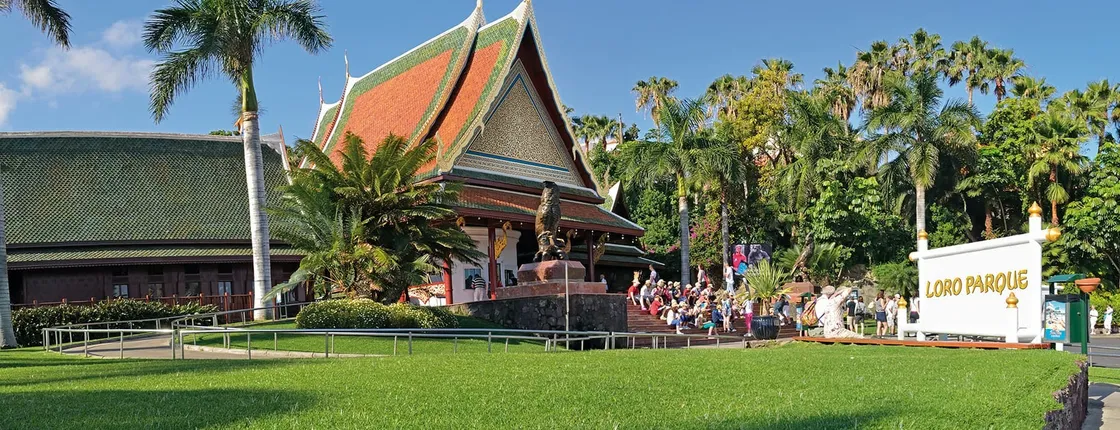 Loro Parque or Puerto de la Cruz round-trip transfer
