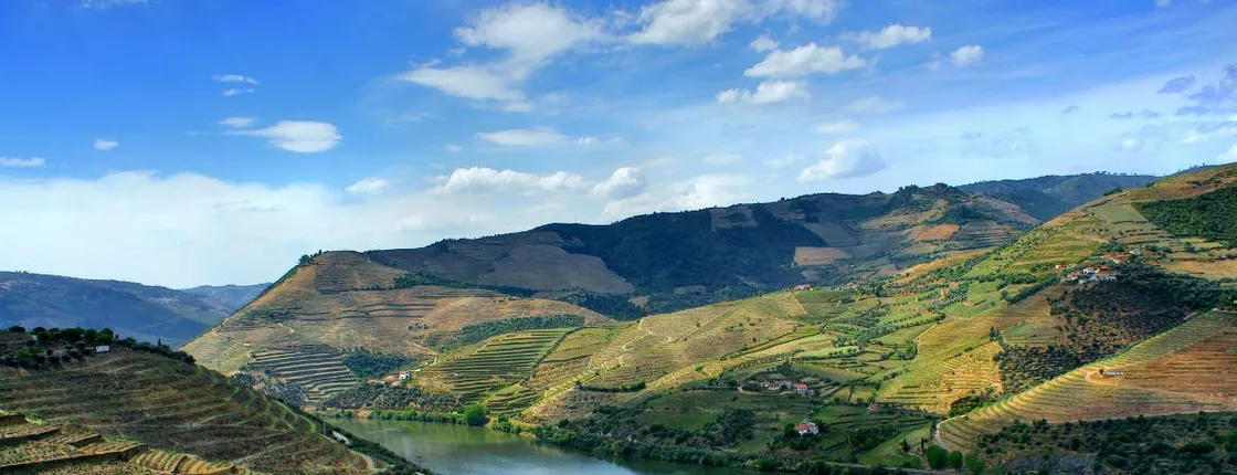 Douro Valley day tour from Porto with lunch, wine tasting, and cruise