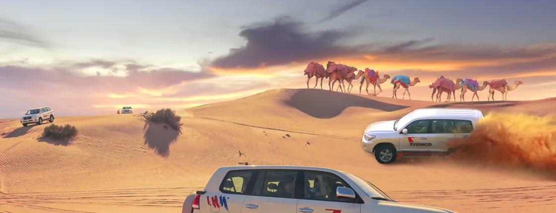 Dune dinner safari at Bassata Camp from Ras Al Khaimah