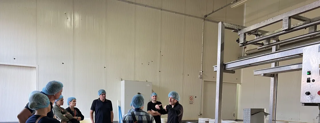 Full Day Parmiggiano and Balsamic Vinegar Tour with Lunch and Transfer