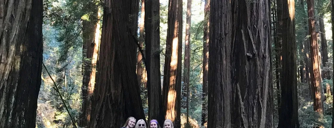 Private Muir Giant Redwoods and Sausalito tour by open top jeep