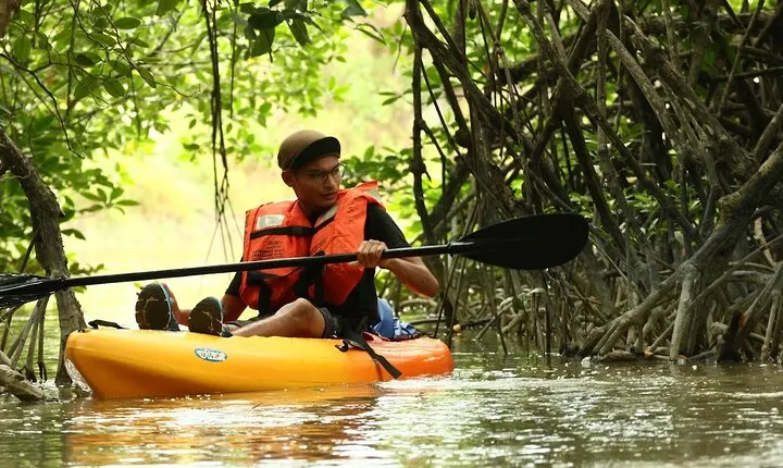 Lebam River Kayaking Adventure