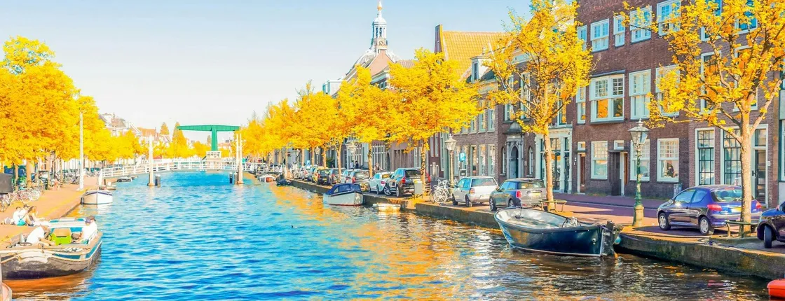 Leiden walking tour with a local