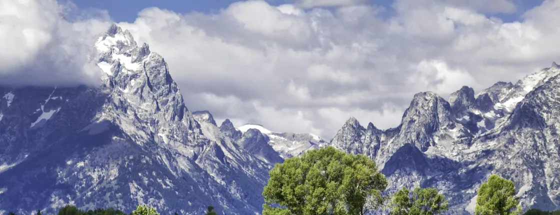 Summer and fall wildlife sunset safari from Jackson Hole