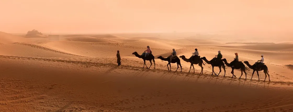 Paradise Valley Half-Day Trip from Agadir with Camel Ride and Lunch