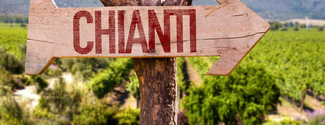 Chianti half-day tour from Siena with wine and olive oil tastings