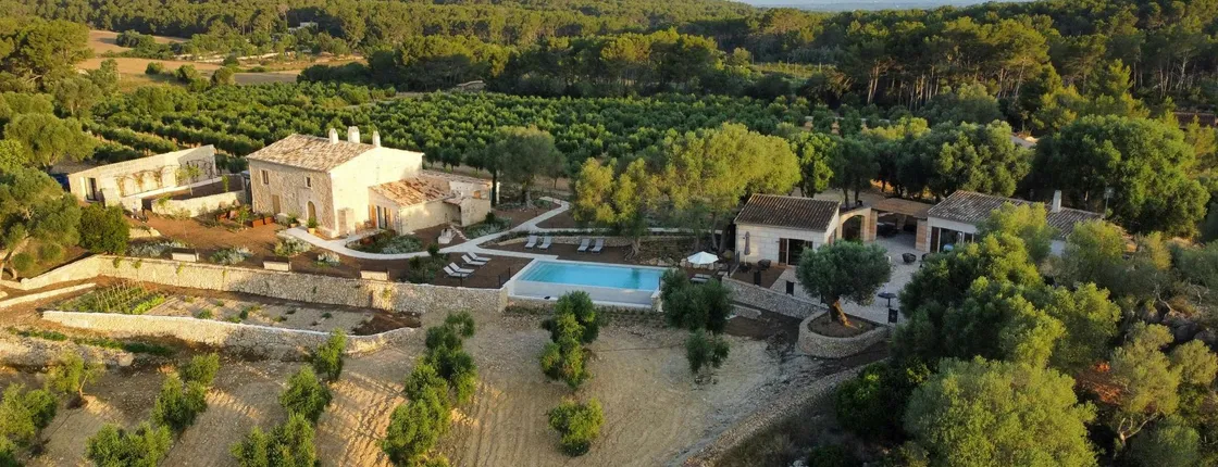 Mallorcan olive oil night with gastronomic tasting experience