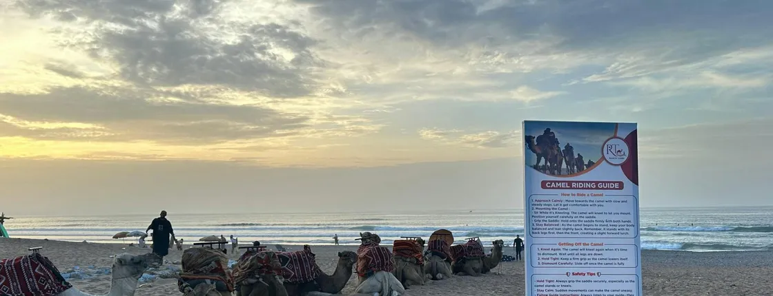 Sunset Camel Ride with BBQ Dinner from Agadir or Taghazout