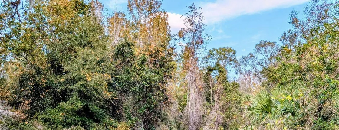 Rock Springs river tubing and Apopka Wildlife Trail with hotel pickup