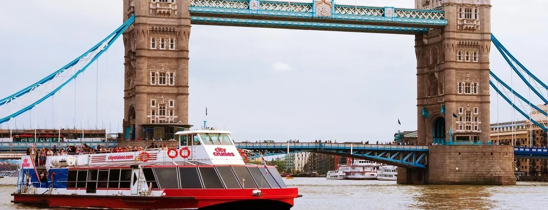 Private London Sightseeing Taxi Tour & Thames River Cruise