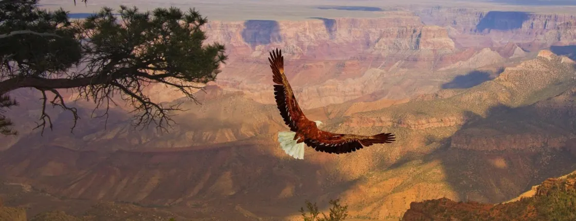 Grand Canyon West Rim with Hoover Dam photo stop