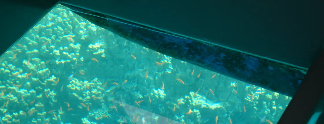 Glass bottom cruise in Aqaba
