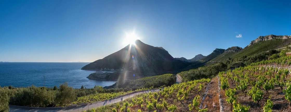 Wine tasting tour in Pelješac Peninsula and Ston visit