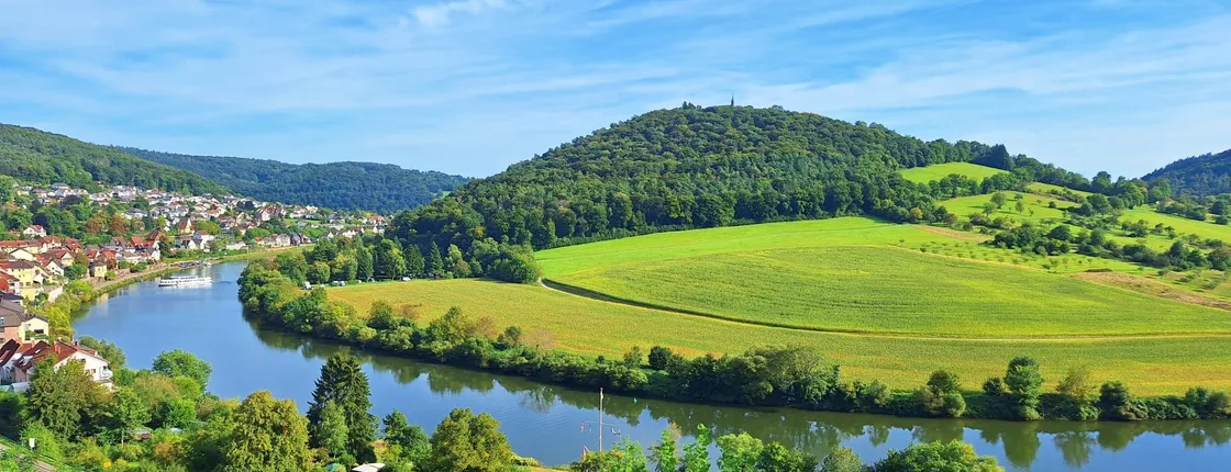 Neckar Valley day tour from Heidelberg with Odenwald hike