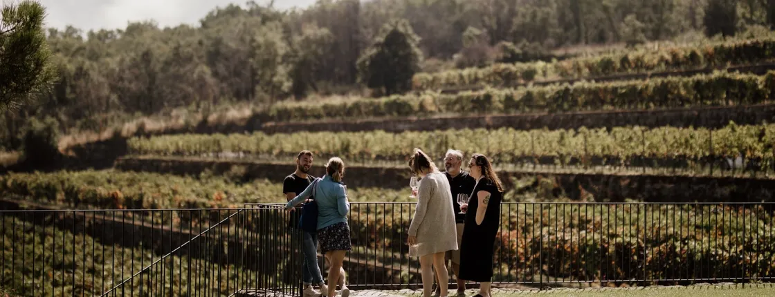 Wine experience in the northeast of Etna