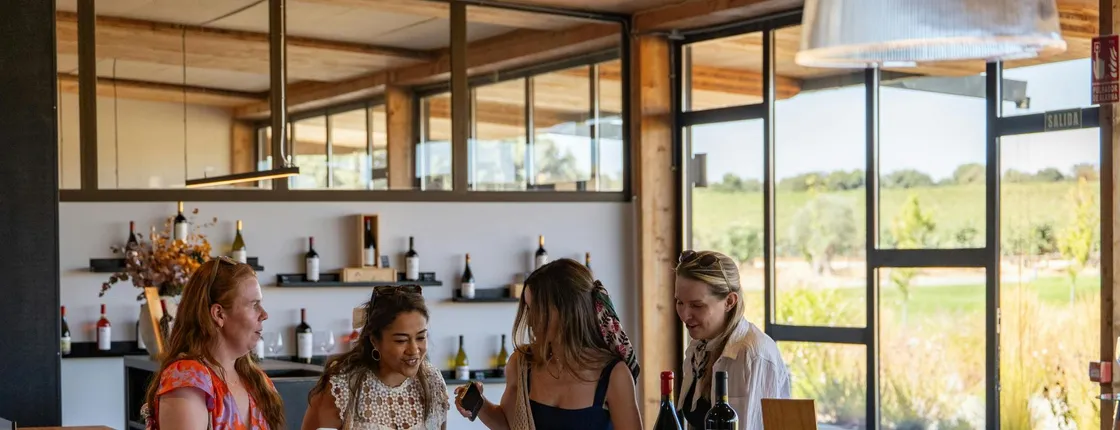Ribera del Duero full-day wine Tour from Madrid