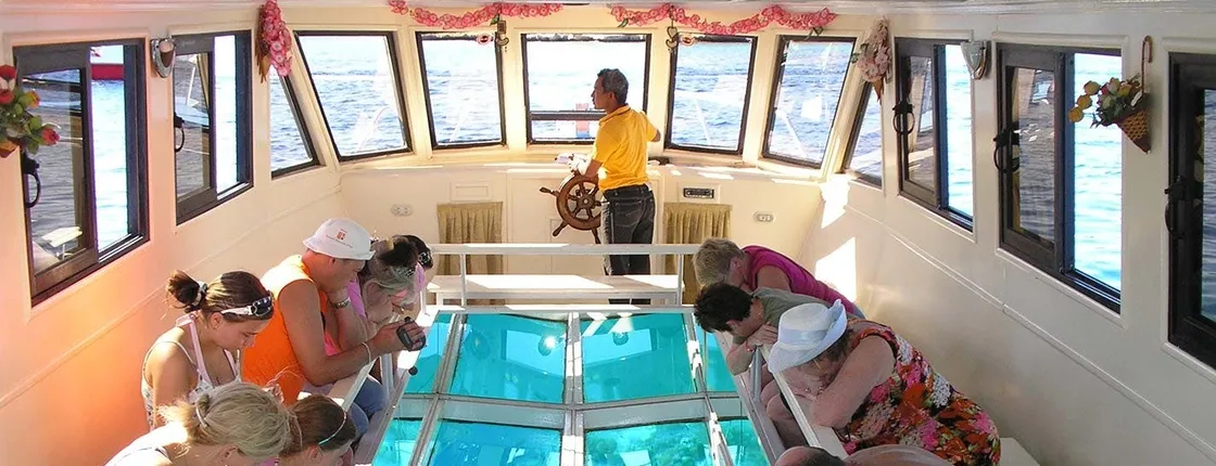 Glass-bottom boat tour from Sharm El Sheikh